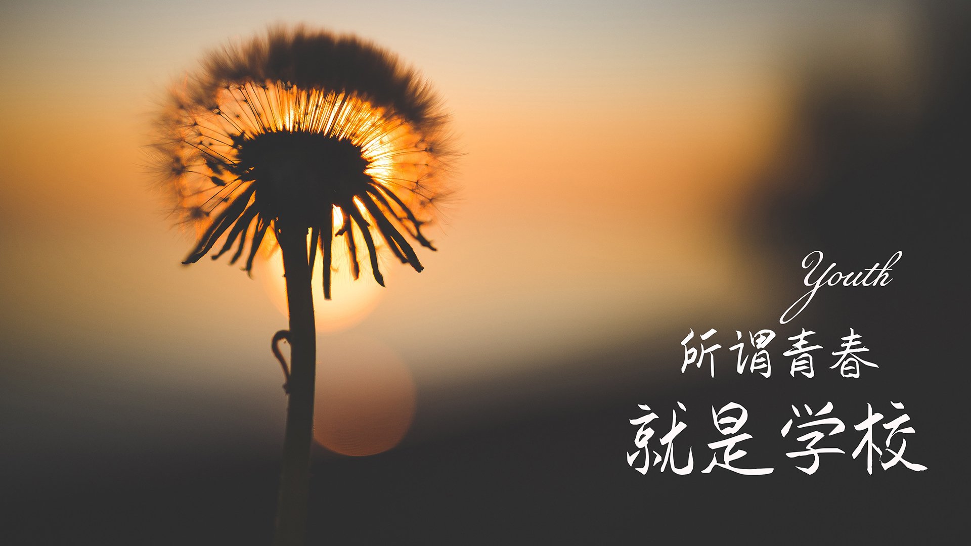 Kering-东亚杯中国足球逆袭 球员配合有明显提升,东亚杯国足成绩 Kering-东亚杯中国足球逆袭 球员配合有明显提升,东亚杯国足成绩