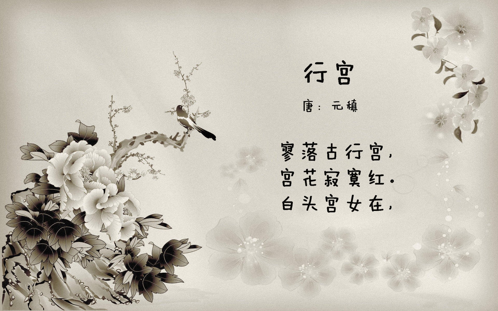 kaiyun-中国女篮积极推进技战术改革,中国女篮训练计划