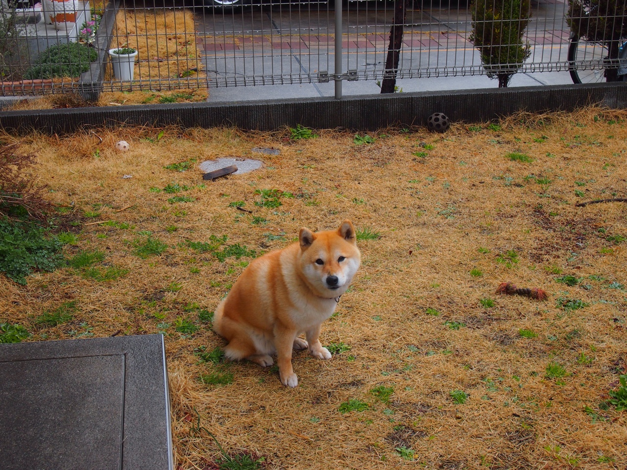 开云集团中国官网-中国男篮全面评估备战计划确保落实,中国男篮职业比赛