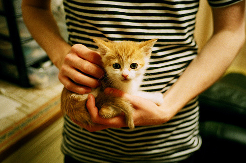 开云体育-博卡后卫失位频繁，防线吃紧，博卡的主场是哪个球场